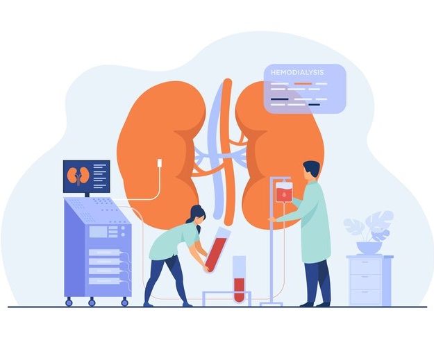 Kidney Health and Dialysis: Key Insights and Treatment Options