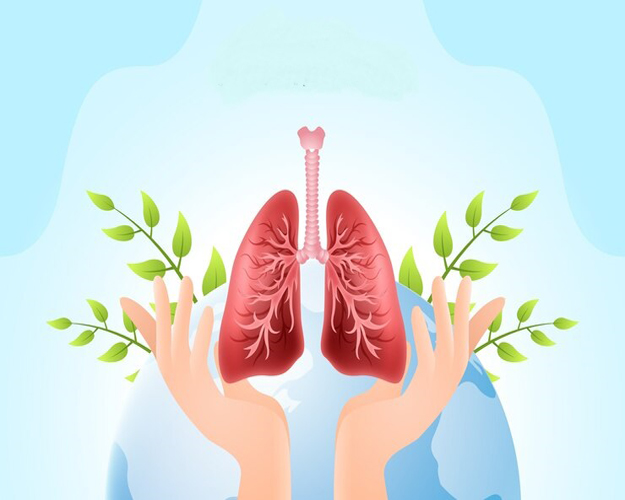 Lungs and Breathing: Why Air Quality Matters for Your Health